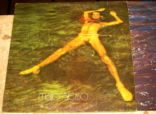 Lp Ney Matogrosso ( Secos ) - Mato Grosso (1982) C/ Encarte
