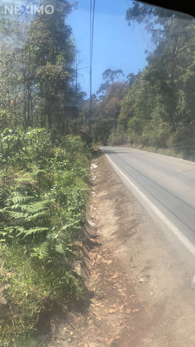 Imagen 4 de 6 de Se Vende Terreno Boscoso En Acaxochitlan, Hidalgo.