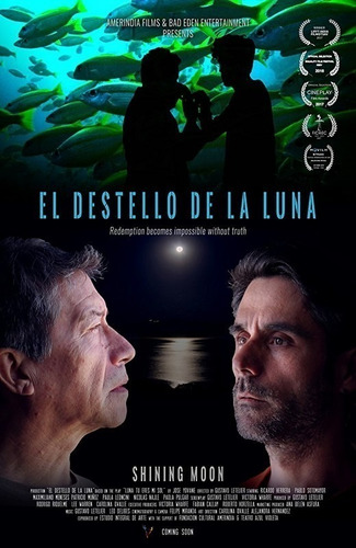 Dvd O Brilho Da Lua (el Destello De La Luna ) Gay