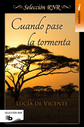 Cuando Pase La Tormenta - De Vicente, Lucía  - * 