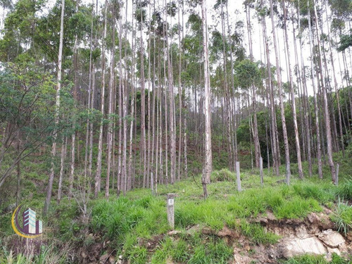 Imagem 16 de 30 de Sítio À Venda, 527314 M² Por R$ 1.750.000,00 - Chácara Brumado - Amparo/sp - Si0003