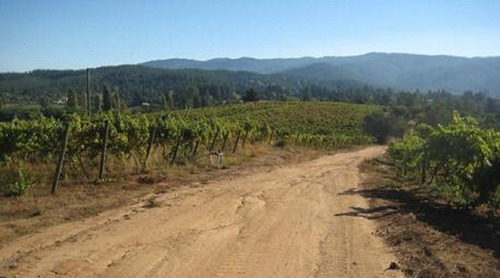 Cauquenes Viñas Y Forestal, 2 Tranques (70047)