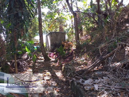 Imagem 5 de 15 de Sítio Em Pedras Ruivas - Paty Do Alferes - 3043