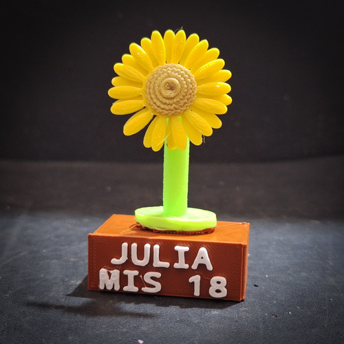 10 Souvenirs Personalizados Cumpleaños Tematicos Plástico Girasol Flor
