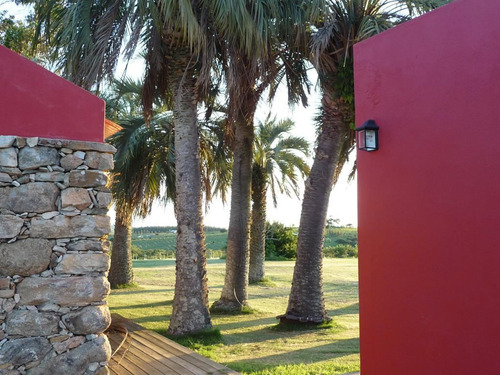 Maldonado Venta Chacra 38 Hectareas 50km De Punta Del Este
