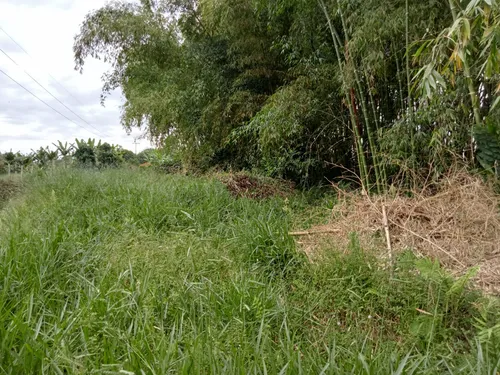 Se Vende Finca Alcalá Valle Del Cauca