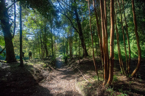 Parcelas En Reserva RÃo San Pedro, Preserva Tu Futuro.