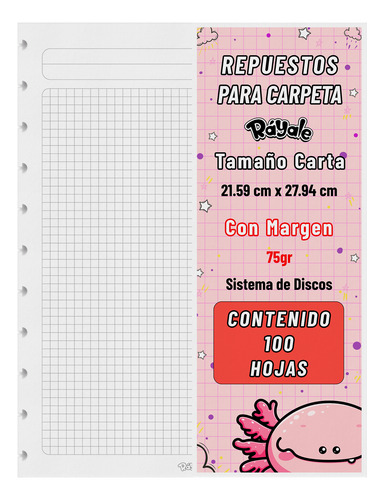 100 Hojas Sistema De Discos Con Margen 75gr Tamaño Carta Cuadro Chico