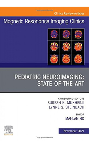 Pediatric Neuroimaging:state Of The Art Vol.29-4