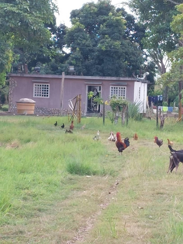 Imagen 6 de 16 de En Venta Finca En Maturin