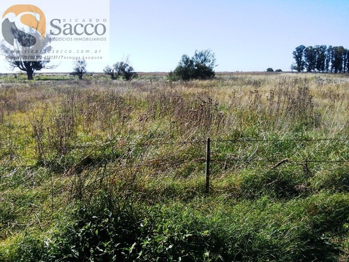 Chacra En Venta En Distrito De #trenquelauquen