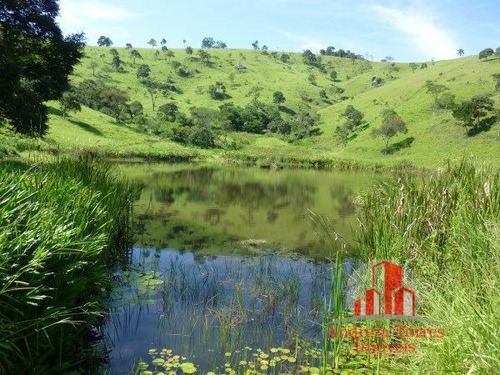 Imagem 28 de 30 de Sítio Sítio À Venda Em Taubaté/sp - 1386