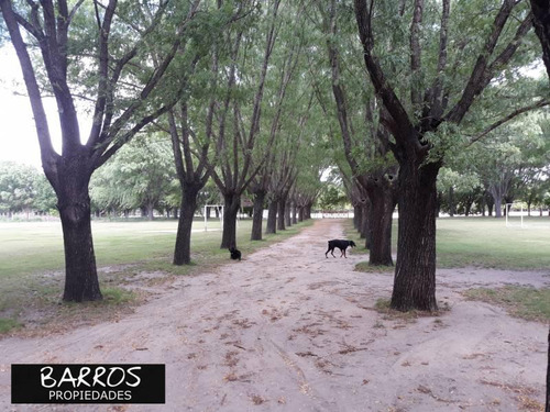 Camping En Venta - Ubicado En Arroyo De Los Patos