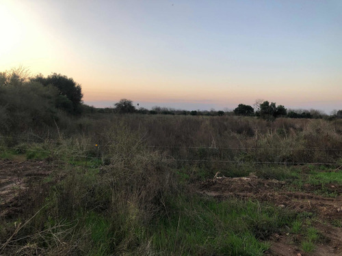 Imagen 7 de 8 de Terreno Baldío. 2500m2, 40m De Frente X 62,50 M De Fondo Excelente Ubicación. San José Entre Ríos