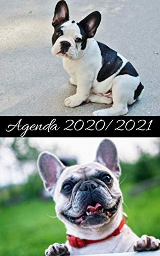 Agenda - Septiembre 2020 - Junio 2021 - Portada Bulldog Fra