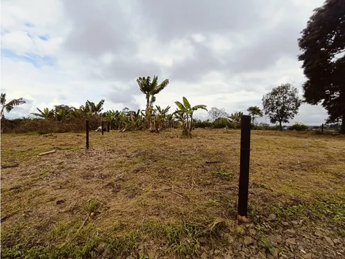 Se Venden Lotes En Quimbaya - Quindío