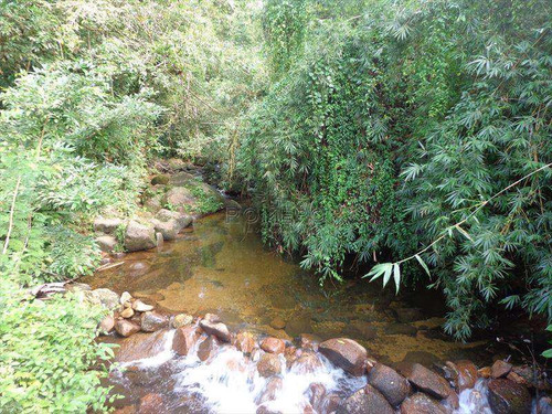 Imagem 2 de 29 de Terreno, Praia Da Lagoinha, Ubatuba - R$ 299 Mil, Cod: 76 - V76