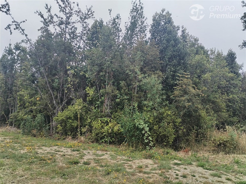 Parcela En Venta En Fresia