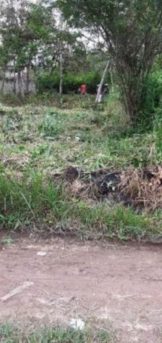 Imagem 2 de 6 de Terreno No Bairro Gaivota, Em Itanhaém, Com 250 M² De Área Total