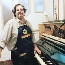 Comprar Afinador De Pianos Profesional. Avellaneda Y Alrededores 