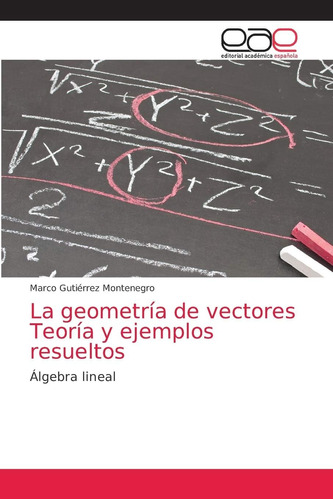 Libro: La Geometría De Vectores Teoría Y Ejemplos Resueltos: