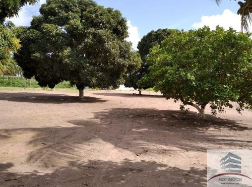 Imagem 10 de 20 de Granja Mobiliada A Venda Lagoa Do Bonfim