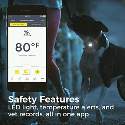 Link Akc Smart Dog Collar Gps Location Tracker, Activity