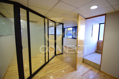 Oficina En Renta En Anzures 15c/3b/1e - Excelente Ubicación - 450m2