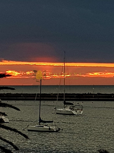 Apartamento En Alquiler En Punta Del Este - Frente Al Puerto - Consulte !!!!!- Ref: 3751