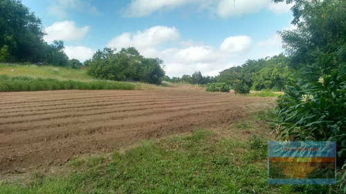 Imagem 18 de 23 de Terreno À Venda - Vila Nova - Porto Alegre/rs - Te0153