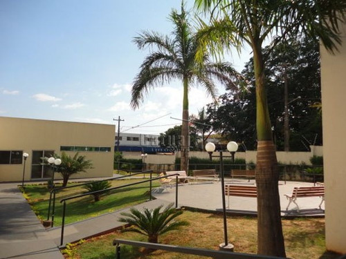 Imagem 16 de 16 de Apartamento Padrão Com 3 Quartos - 57349-v