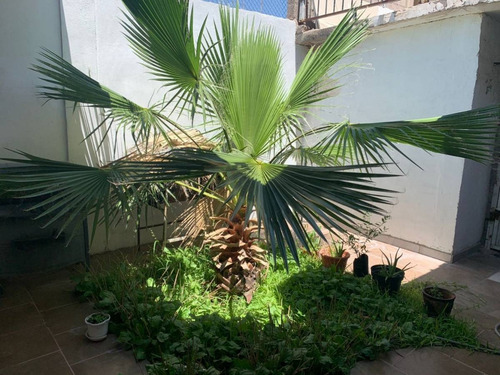 Imagen 9 de 20 de Casa En Venta Muy Grande Y Espaciosa Con Excelente Ubicacion