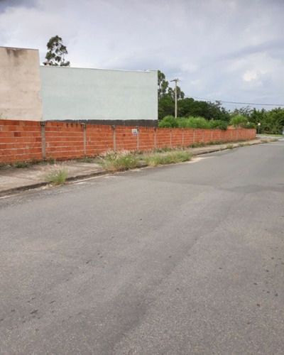 Imagem 3 de 8 de Terreno - Te00262 - 33505115