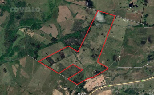 Imagen 1 de 4 de Campo - Pan De Azúcar