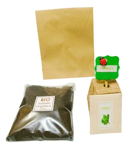 comprar Kit Huerta Suvenir Regalos Cumpleaños Recreativo 10un +envio