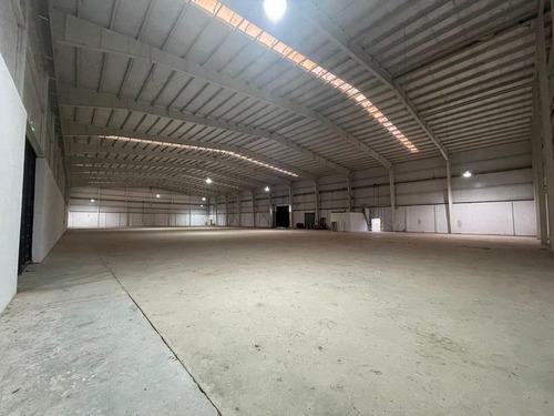 Imagen 16 de 30 de Fracción Industrial 26 Ha. Galpón 12.800 M² Cub. - Carlos Spegazzini