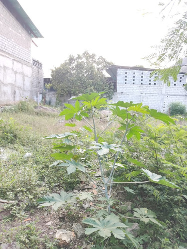 Imagen 26 de 28 de En Venta Galpón Y Terreno Ubicado En Ejido Sector Los Higuerones