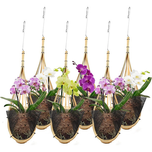 Lanccona Maceta Colgante De Orquídeas 5 Pulgadas 6 Paquetes 