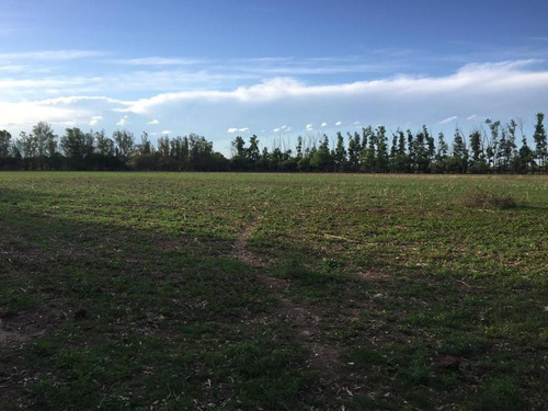 Imagen 13 de 13 de Campo - San Javier