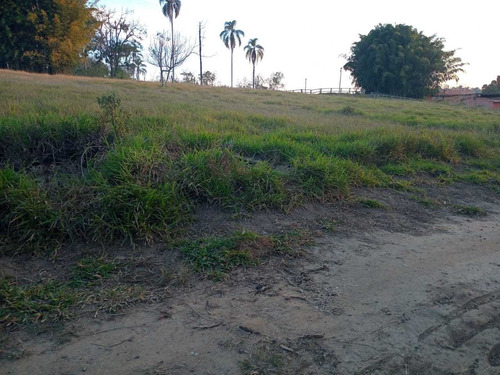 Imagem 10 de 14 de 16- Excelentes Lotes A Venda Na Linda Cidade De Guararema
