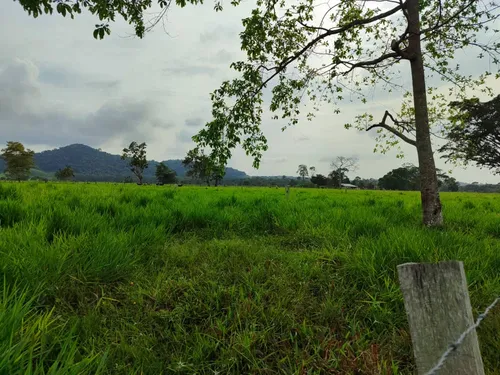 Em Finca En Venta En La Fría