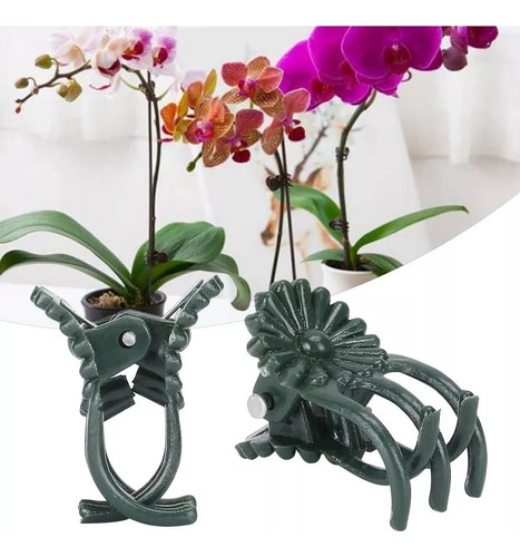 Grampos De Plantas Duráveis Clipes De Orquídea Para Jardim