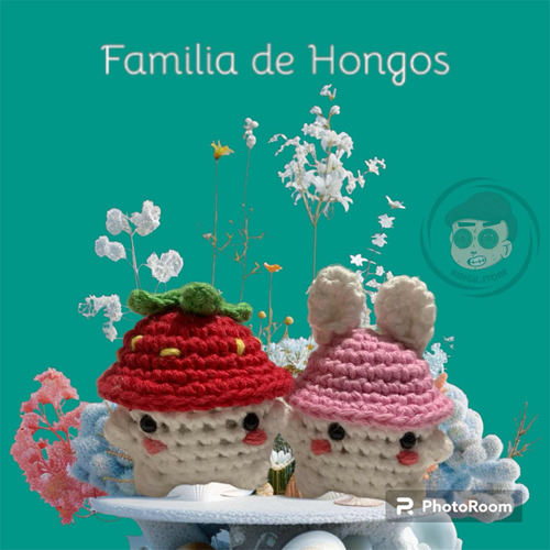 Familia De Hongos