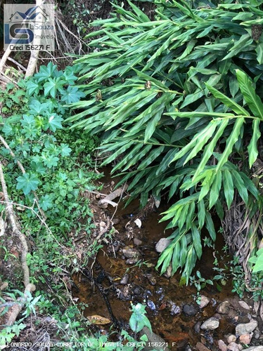 Imagem 2 de 15 de Chácara Para Venda Em Pedra Bela, Zona Rural, 2 Dormitórios, 1 Banheiro, 1 Vaga - 1178_2-1218309