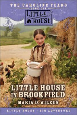 Little House In Brookfield - Maria D Wilkes