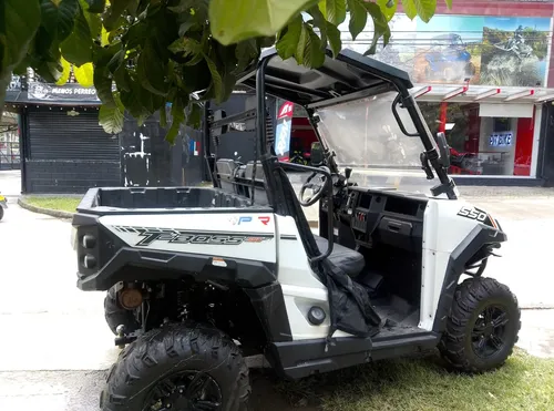 Buggie 550cc 4x4 Usado