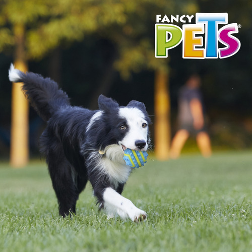 Pelota Spiky Med Fetch Fl9437