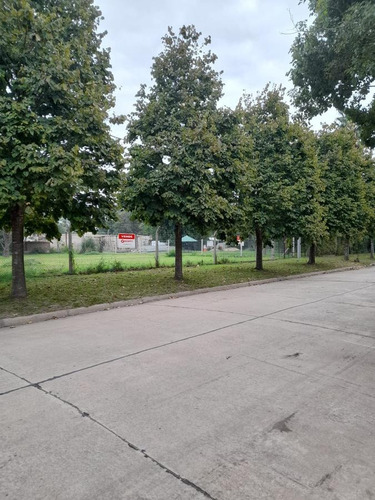 Imagen 3 de 6 de Terreno - Barrio Belgrano