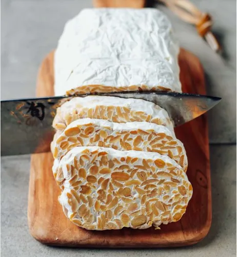 Tempeh Hongo Comestible Rhizopus Oligosporus Proteina Vegana