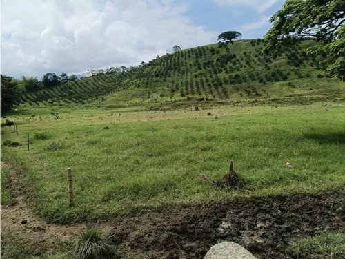 Se Vende Finca Vía Barragan - Rio Verde